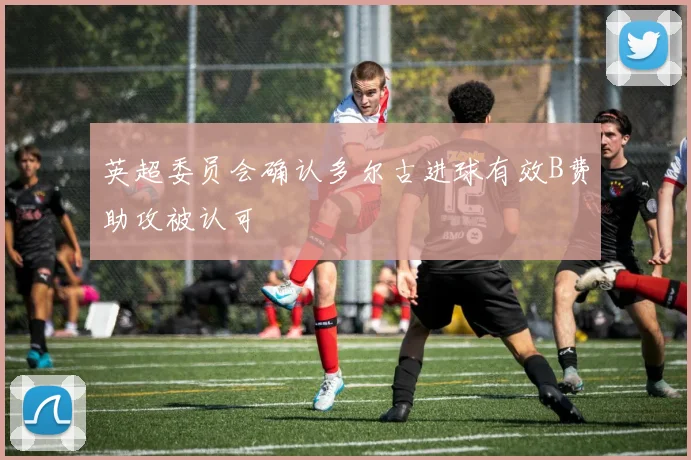 英超委员会确认多尔古进球有效B费助攻被认可