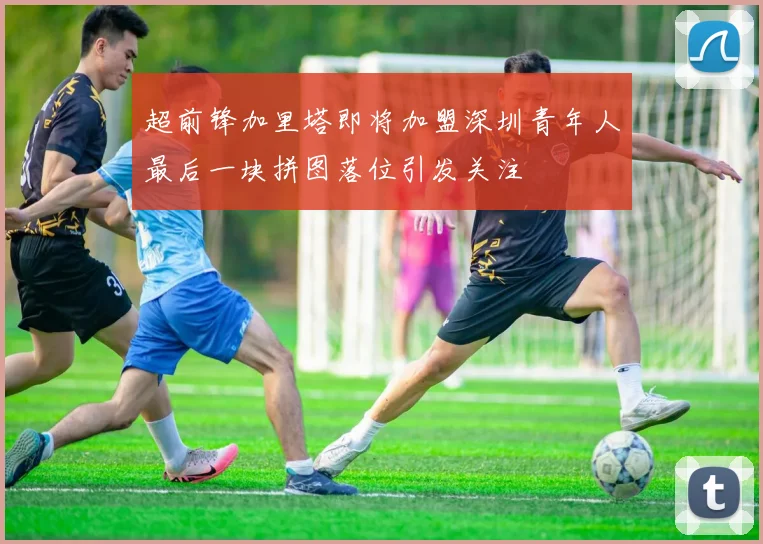 超前锋加里塔即将加盟深圳青年人最后一块拼图落位引发关注