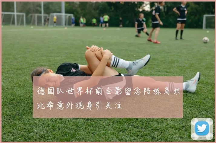 德国队世界杯前合影留念陪练乌尔比希意外现身引关注